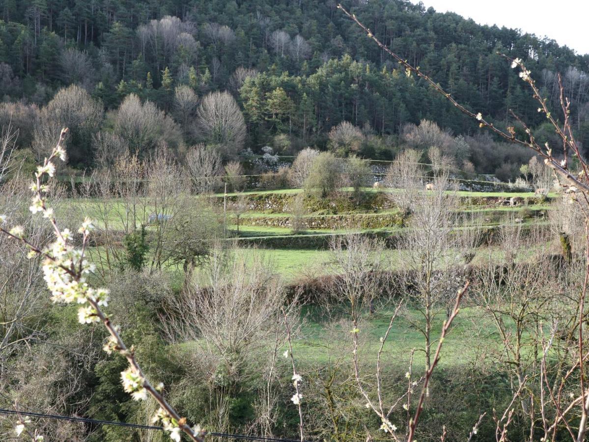 Chalet Casa Chidro *